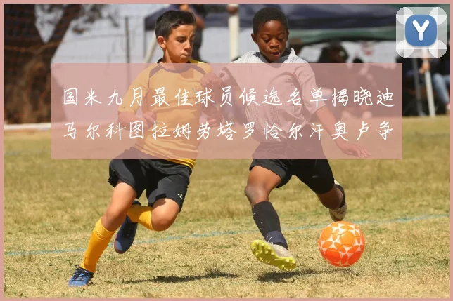 国米九月最佳球员候选名单揭晓迪马尔科图拉姆劳塔罗恰尔汗奥卢争夺荣誉