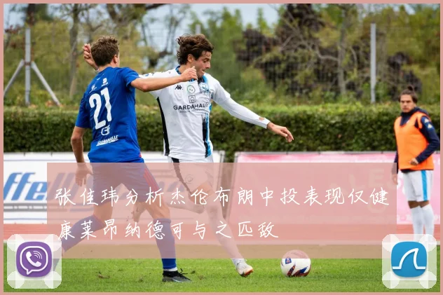 张佳玮分析杰伦布朗中投表现仅健康莱昂纳德可与之匹敌