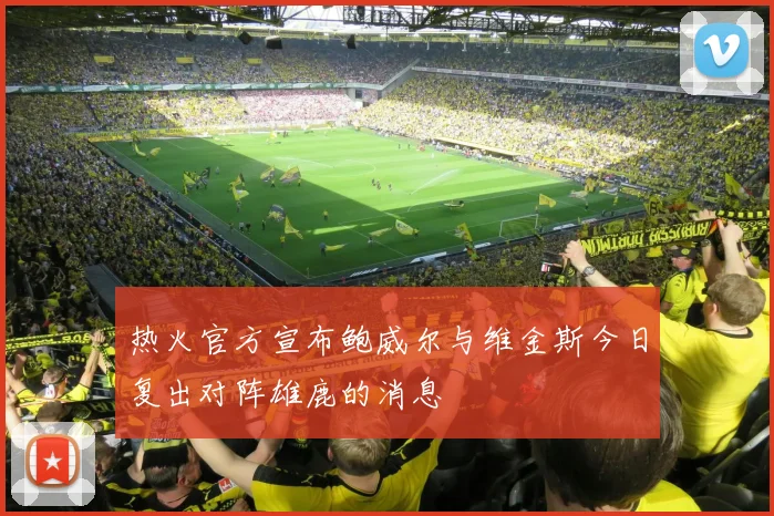 热火官方宣布鲍威尔与维金斯今日复出对阵雄鹿的消息