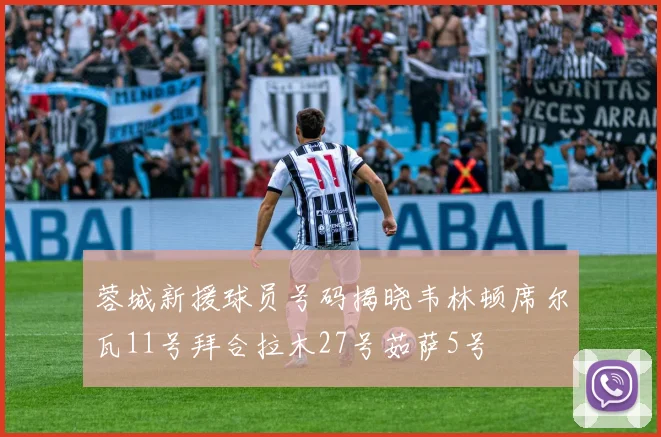 蓉城新援球员号码揭晓韦林顿席尔瓦11号拜合拉木27号茹萨5号