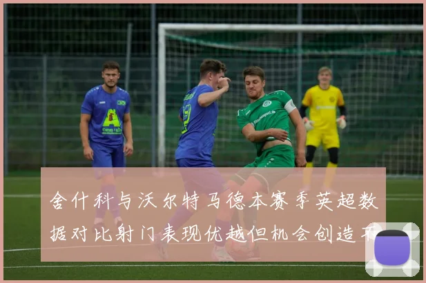 舍什科与沃尔特马德本赛季英超数据对比射门表现优越但机会创造不足